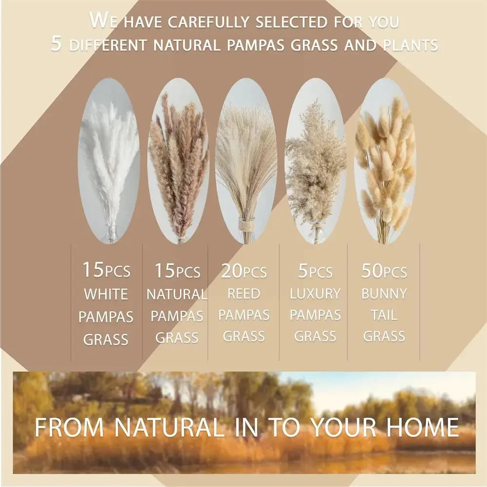 105pcs Natural Dried Flowers Pampas Floral Bouquet Boho Country Home D
