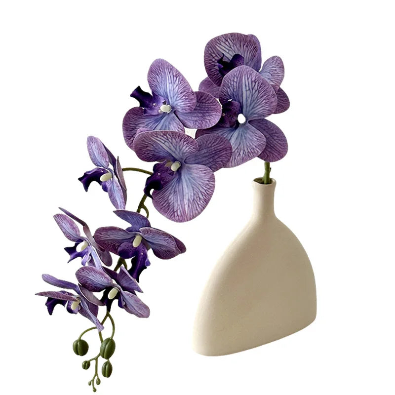 9 Head Latex Butterfly Orchid