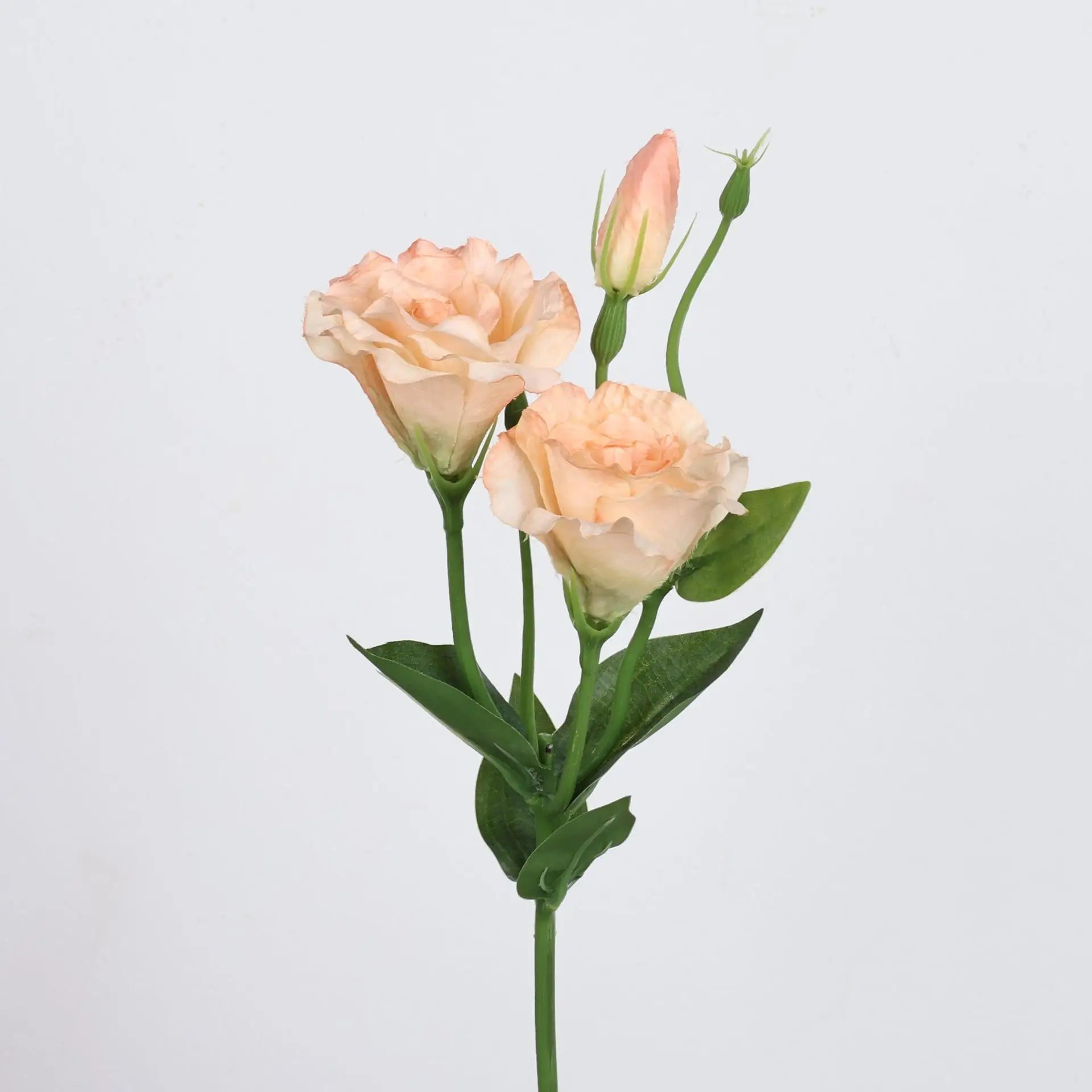 Lisianthus Silk Flower Decor Stem