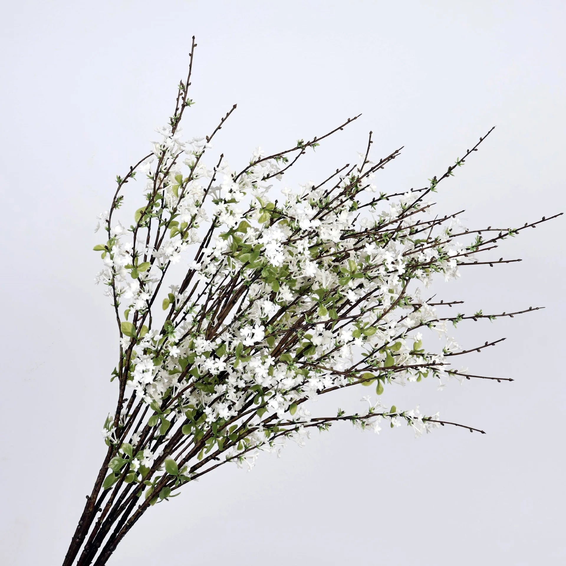 Spirea Snow Willow Decor Branch