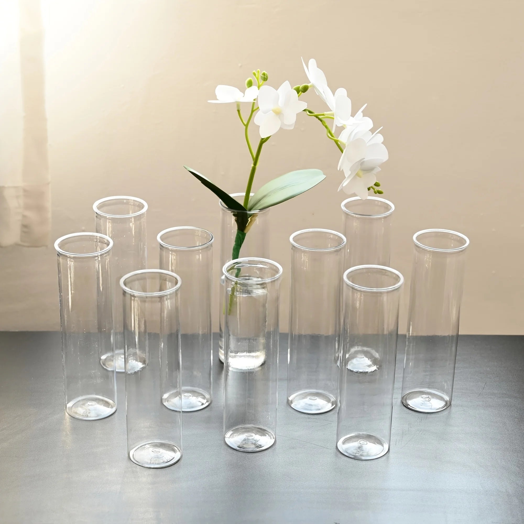 Transparent Cylinder Vase Modern Flower Display