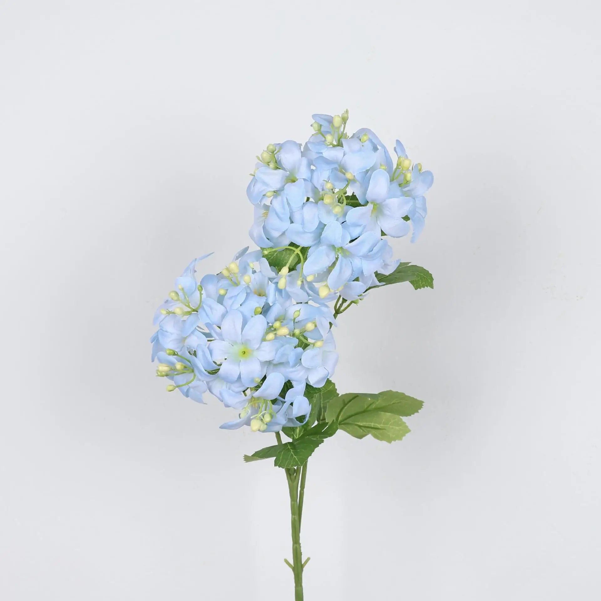 Spring Color Hydrangea Decorative Flower