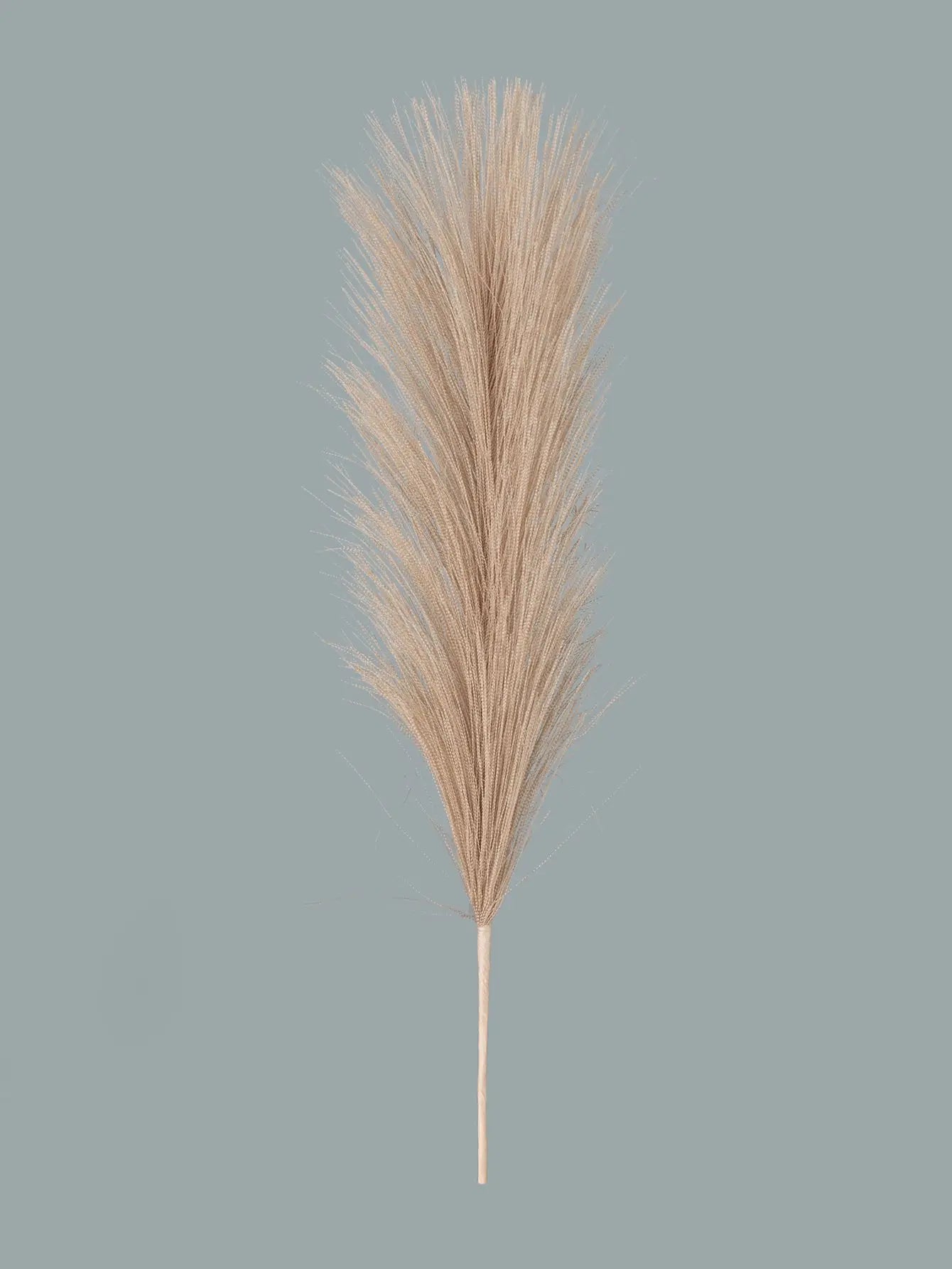 Decorative Pampas Reed Grass Bundle