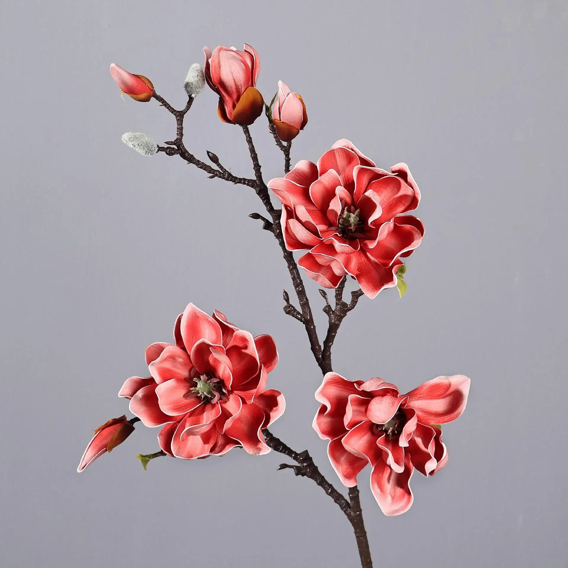 Magnolia Flowering Branch Decor