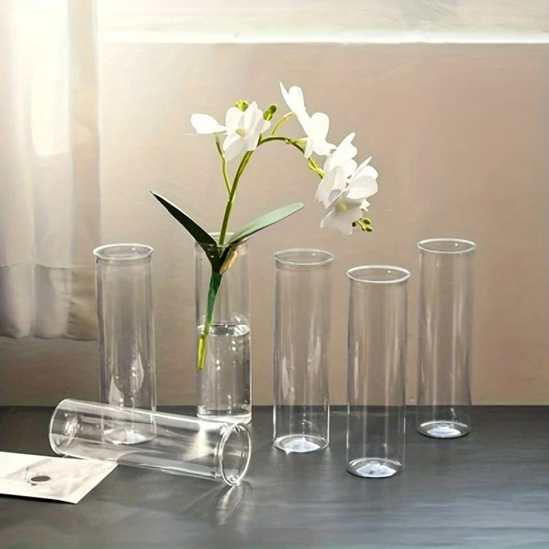 Transparent Cylinder Vase Modern Flower Display