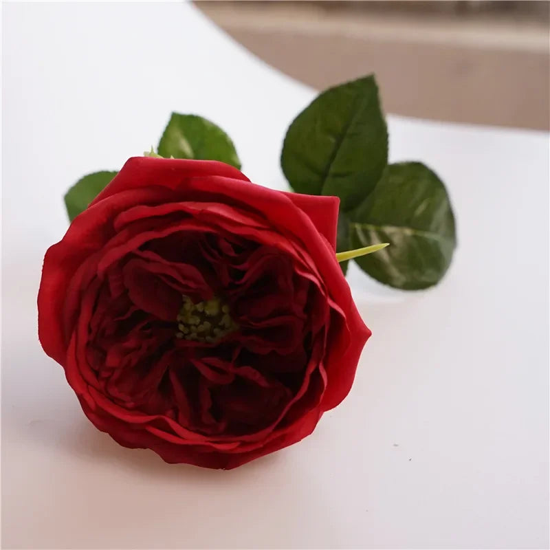 David Austin-Inspired Moisturizing Garden Roses – 5 Piece Set