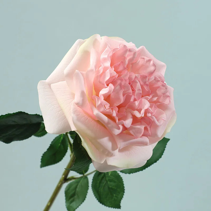Real Touch Garden Rose Stems – Set of 5