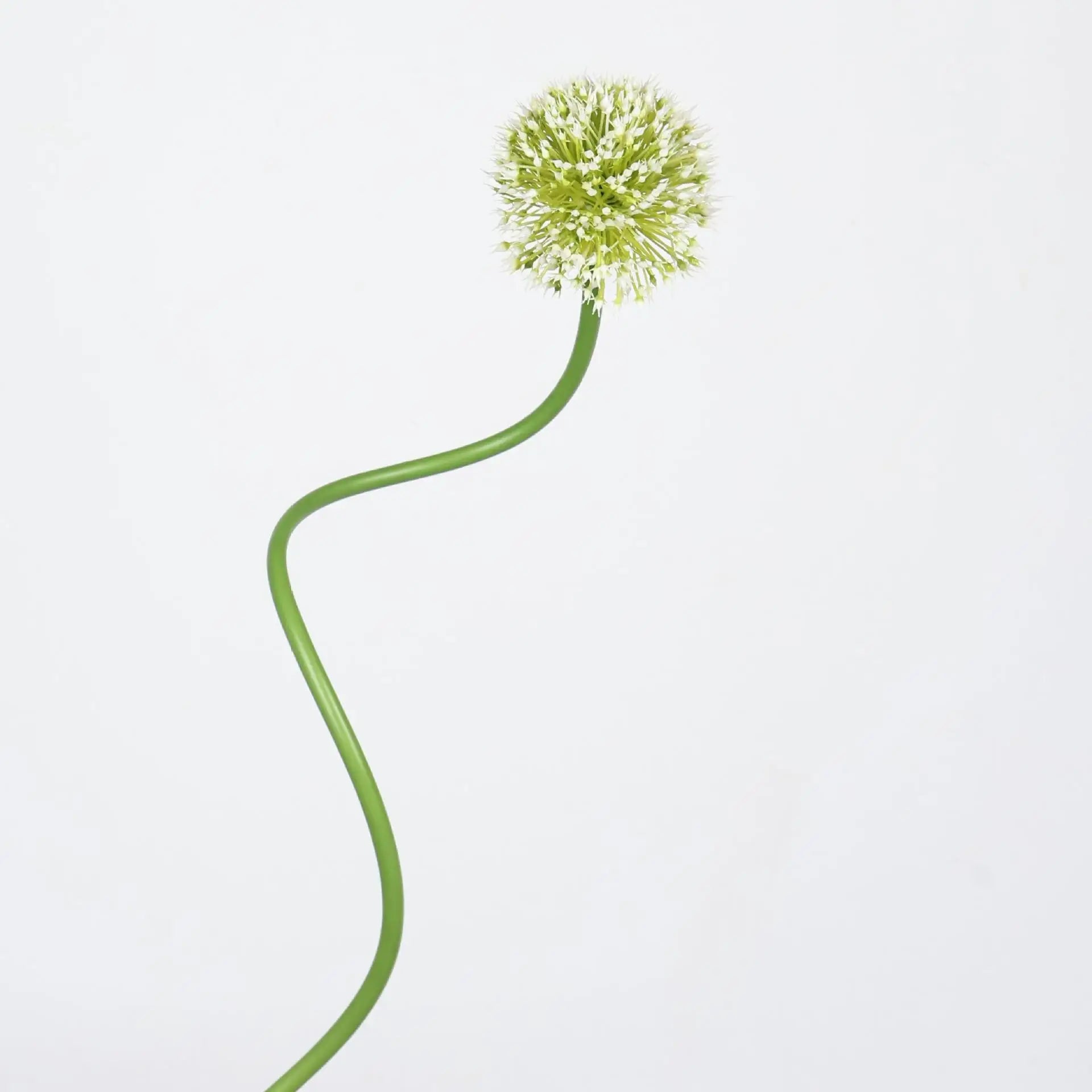 Allium Ball Floral Decor Stem