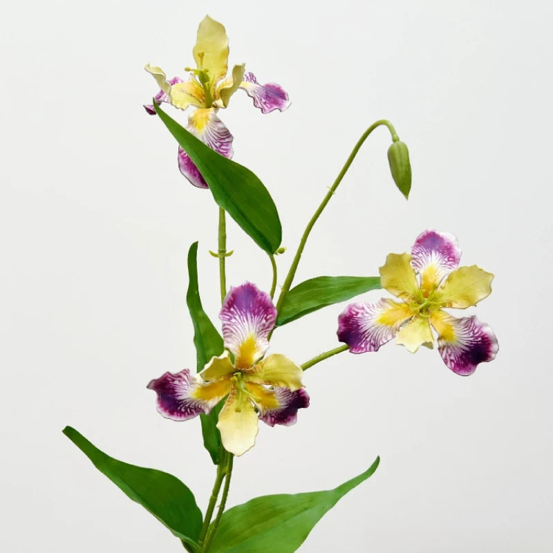 Elegant Iris Floral Display Stem