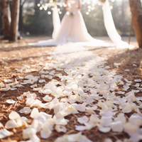 500 Rose petals  scattered white decoration Wedding Party