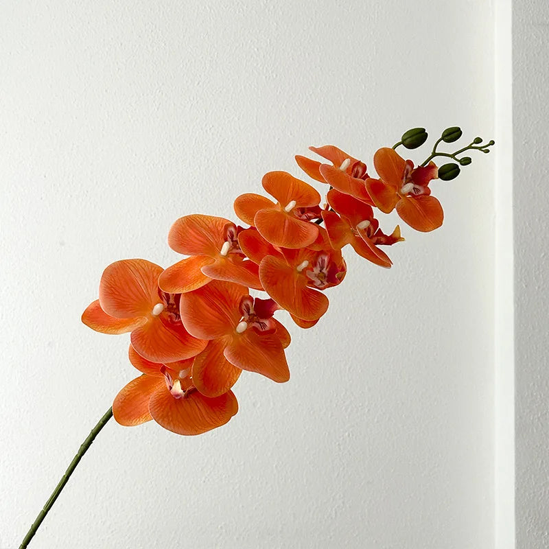 9 Head Latex Butterfly Orchid