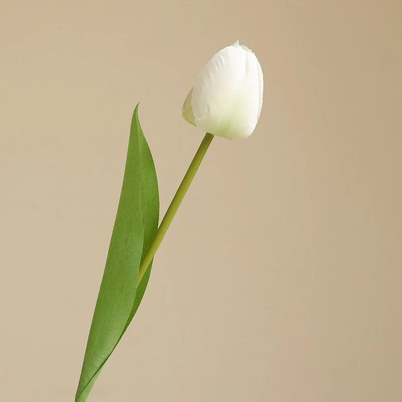 Elegant Tulip Bouquet Stem