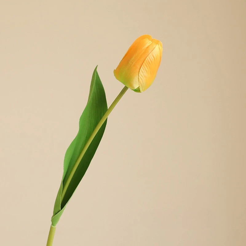 Elegant Tulip Bouquet Stem
