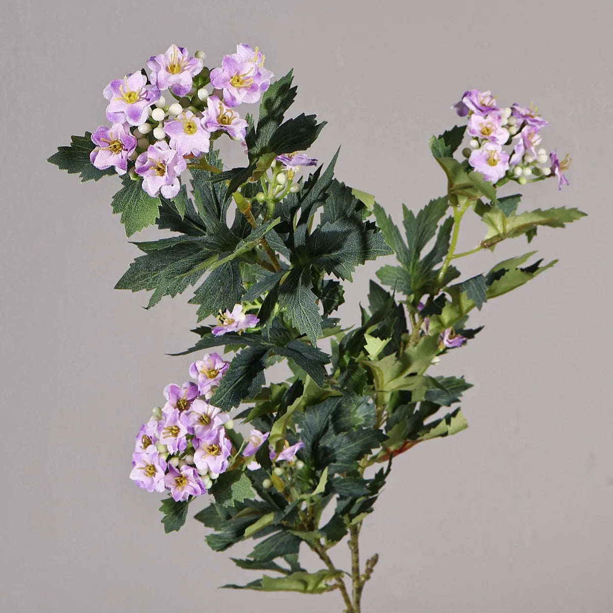 Snowball Edelweiss Floral Stem