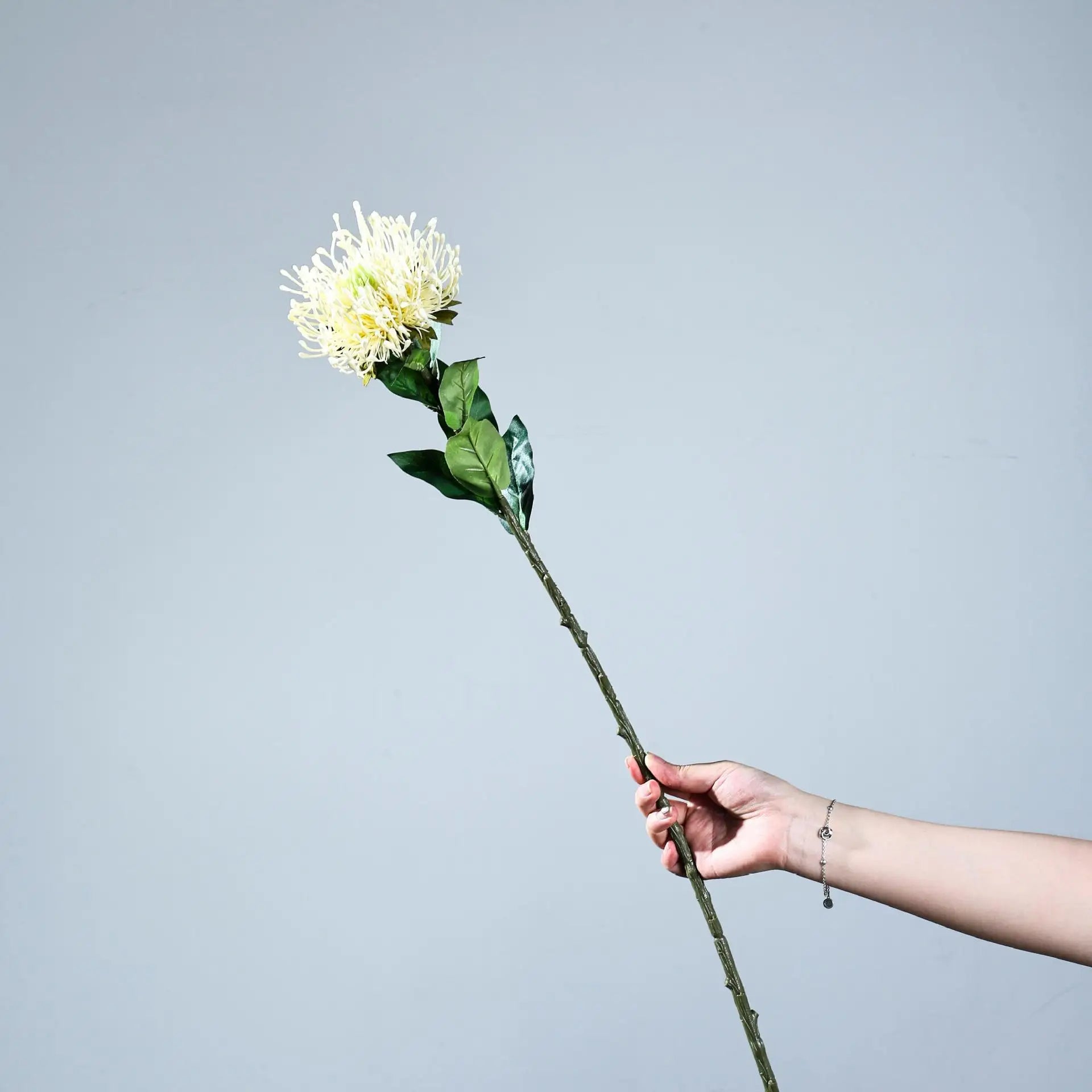 Protea Spider Chrysanthemum Decor Stem