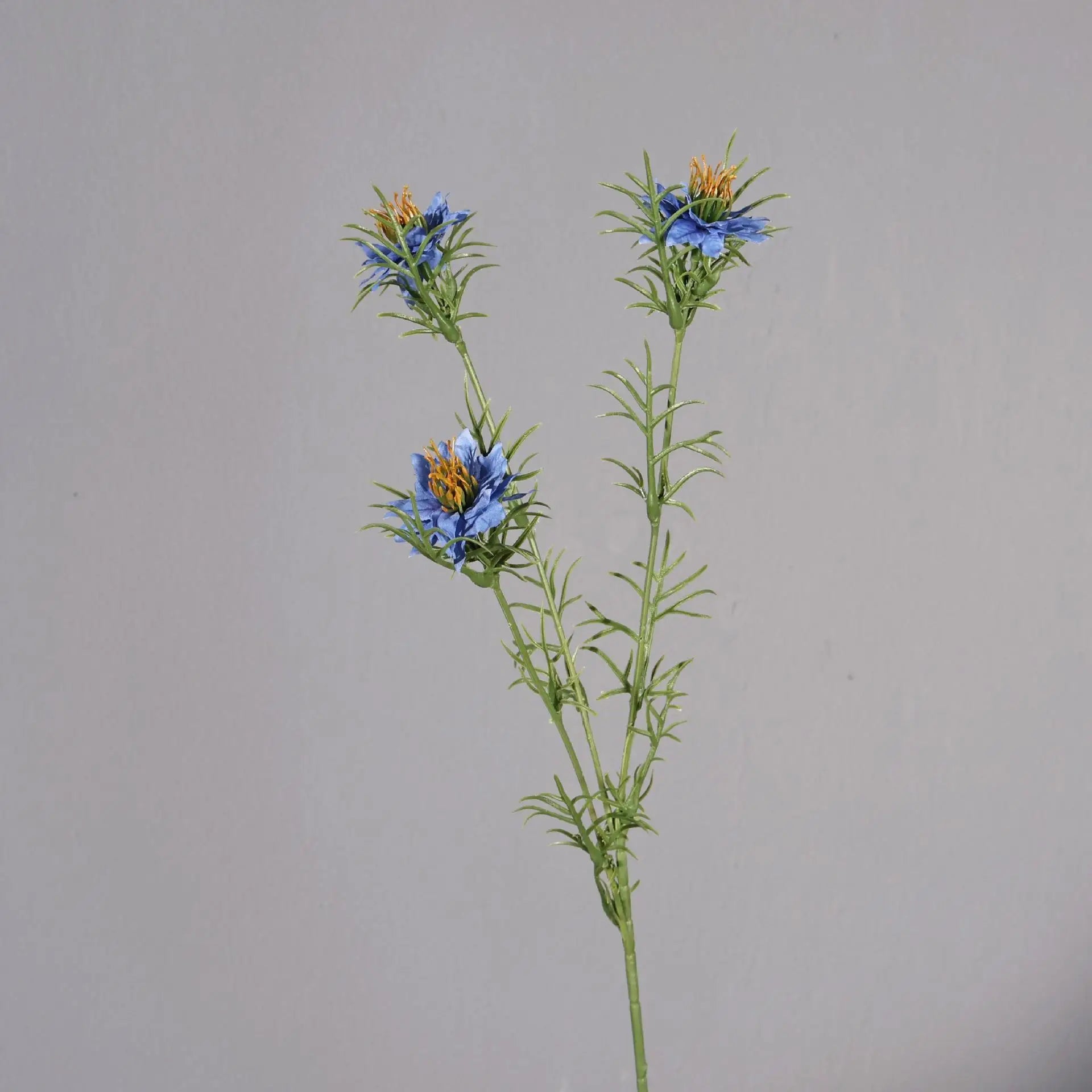 Nigella Daisy Wildflower Spray Stem