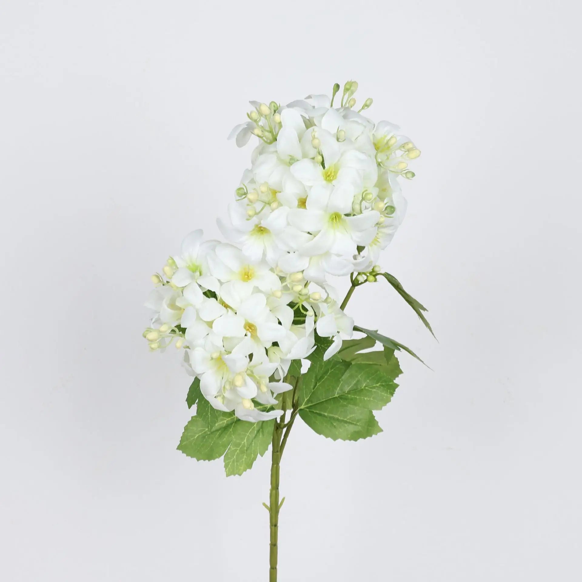 Spring Color Hydrangea Decorative Flower