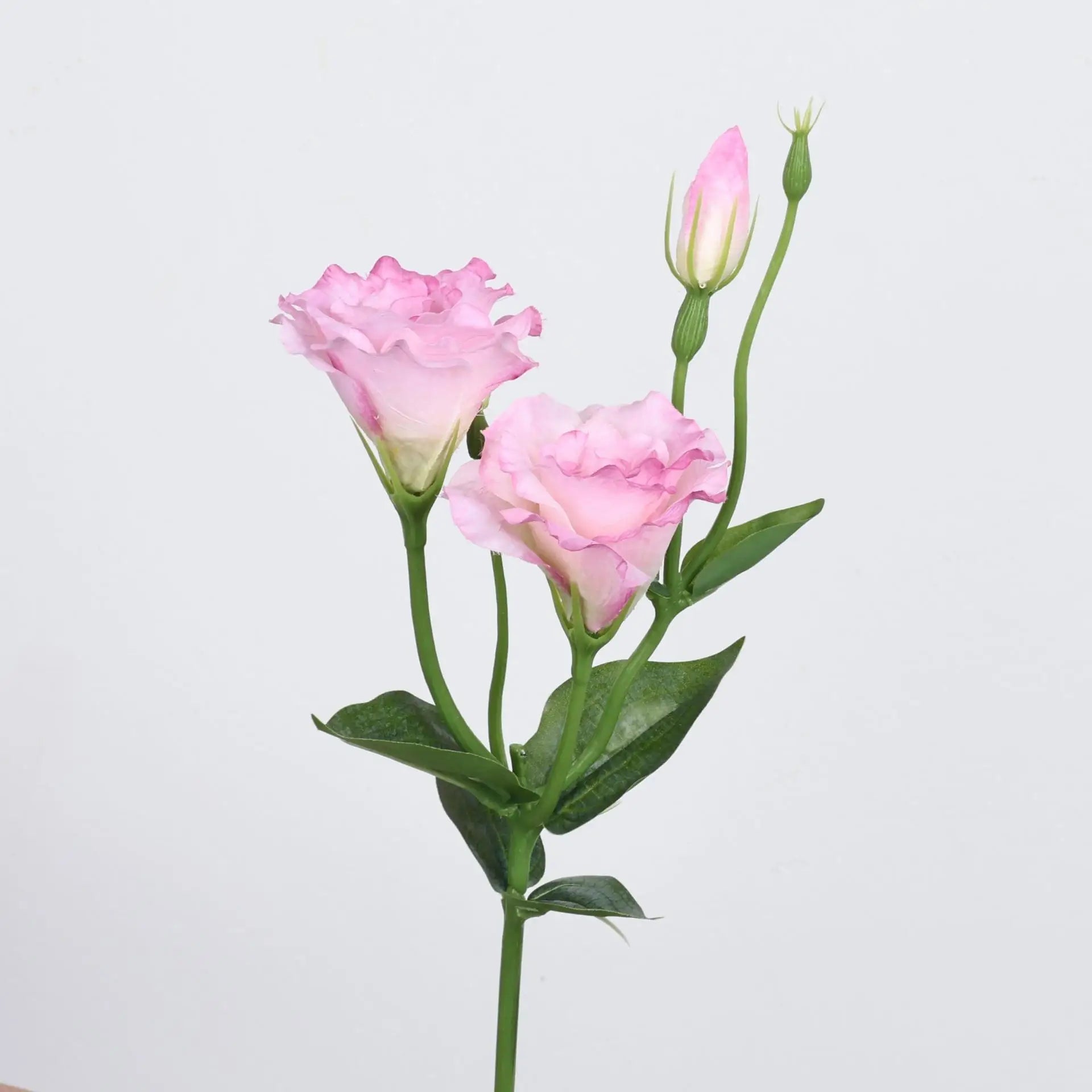 Lisianthus Silk Flower Decor Stem