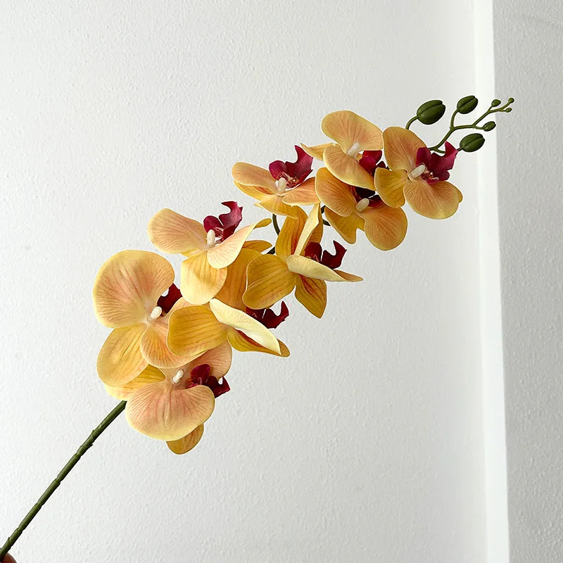 9 Head Latex Butterfly Orchid