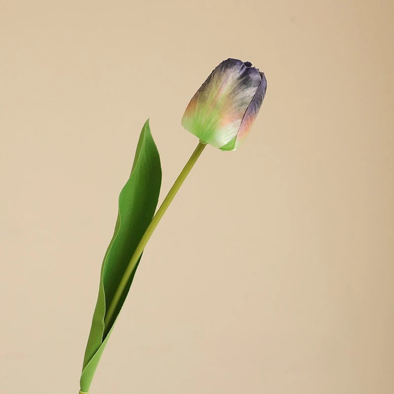 Elegant Tulip Bouquet Stem