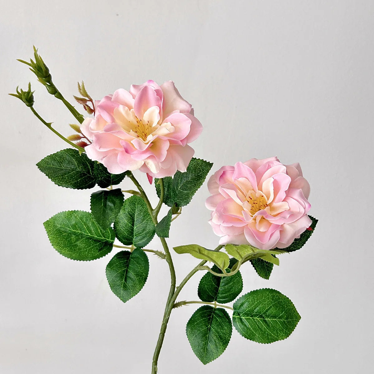 Decorative Retro Rose Floral Bouquet