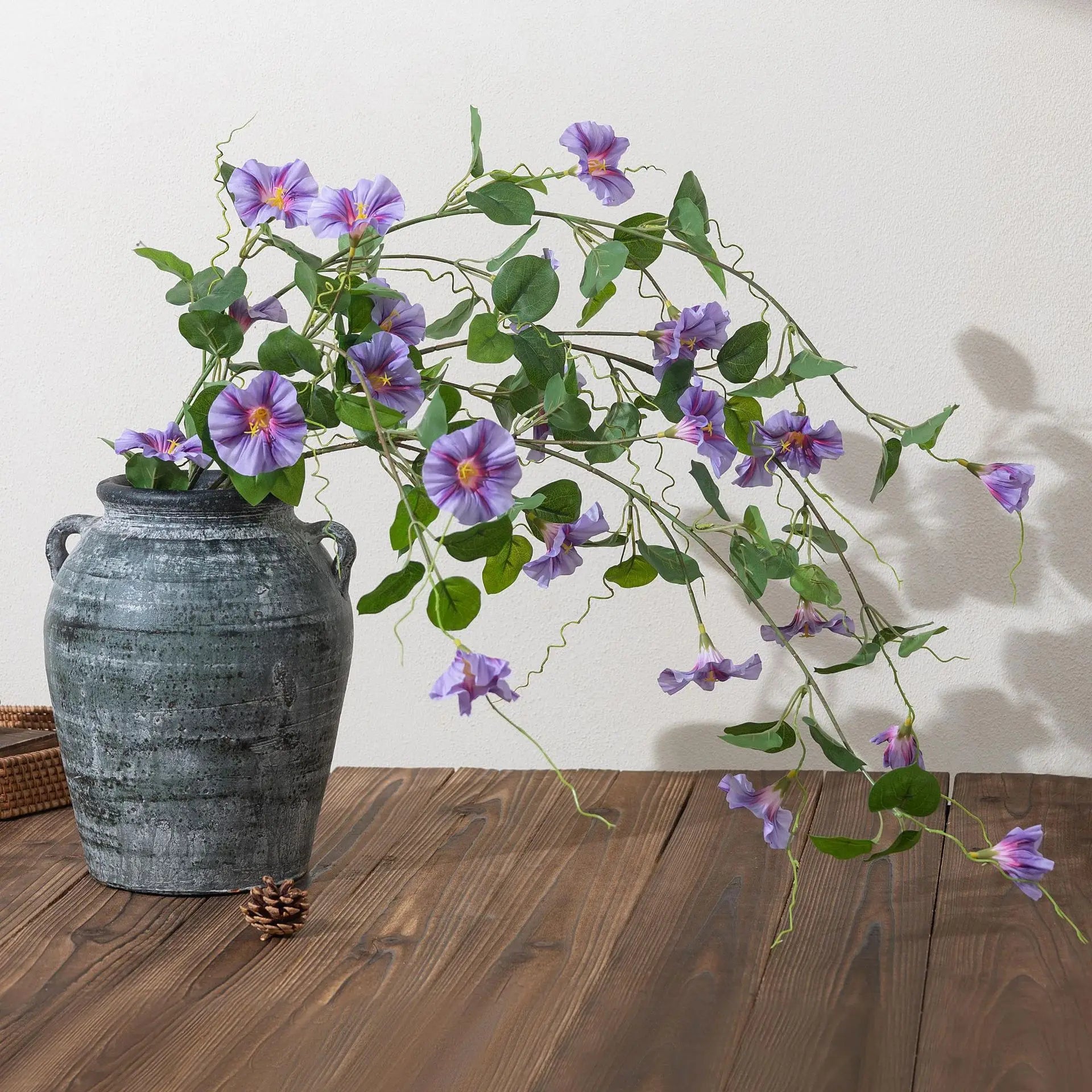 Morning Glory Trumpet Flower Stem