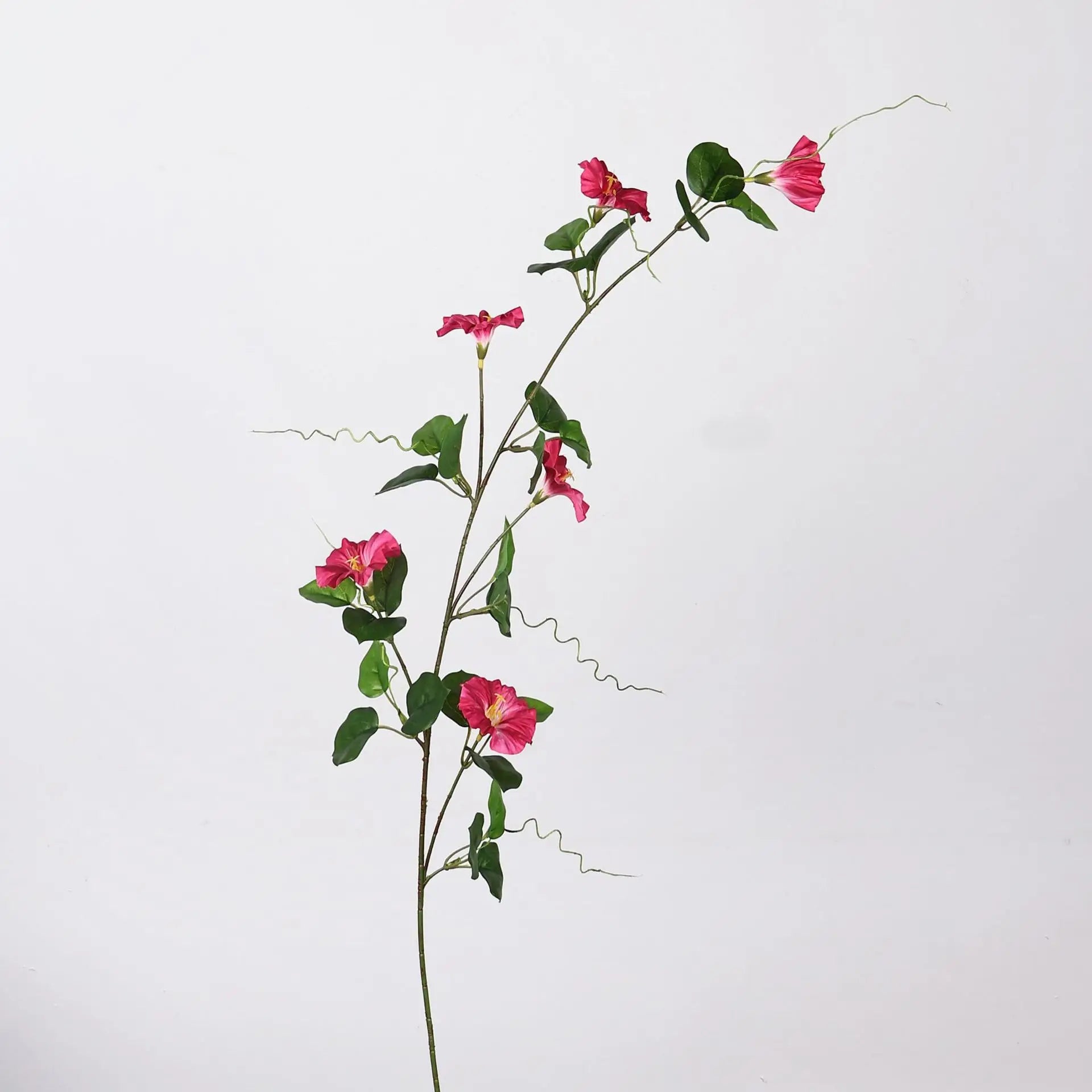 Morning Glory Hanging Floral Vine