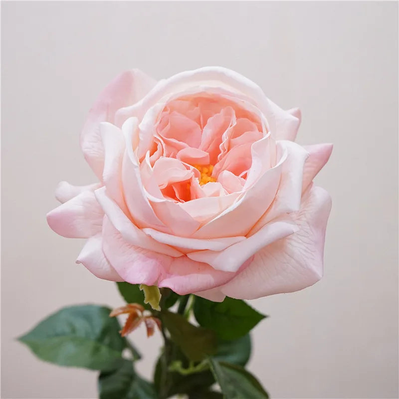 Real Touch Garden Rose Stems – 3-Piece Artificial Flower Set