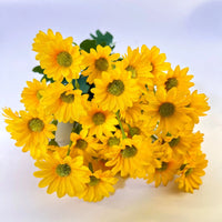 21 Heads Of Sunflowers Small Daisies Bouquets Of Chamomile Wedding Dec