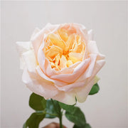 Real Touch Garden Rose Stems – 3-Piece Artificial Flower Set