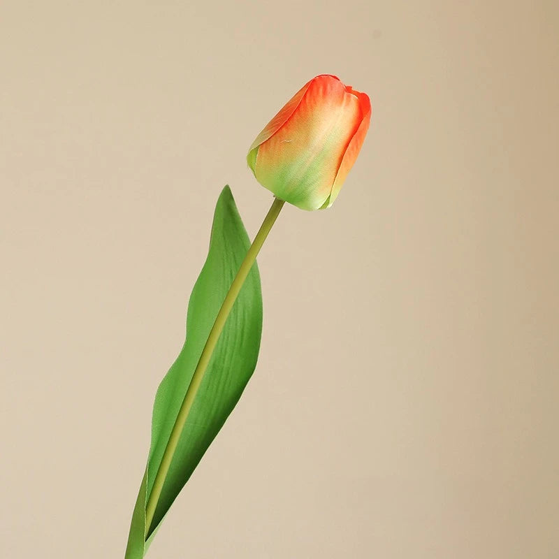 Elegant Tulip Bouquet Stem