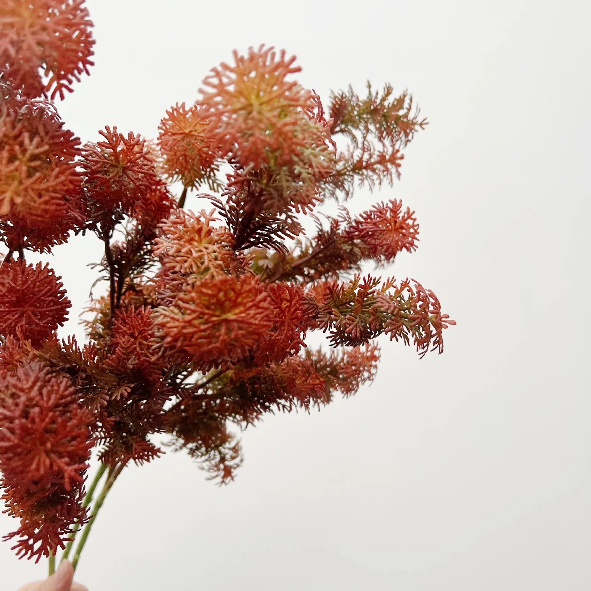 Lion Tail Grass Wedding Decor