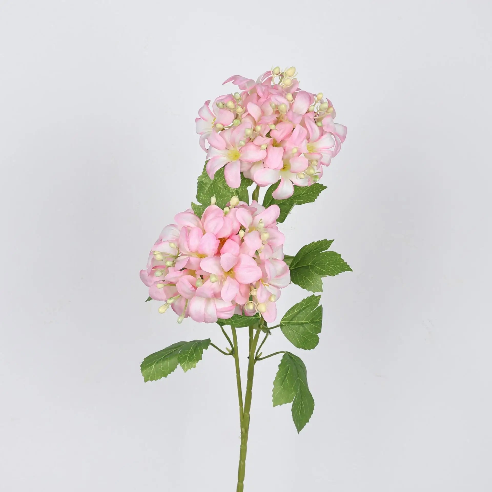 Spring Color Hydrangea Decorative Flower