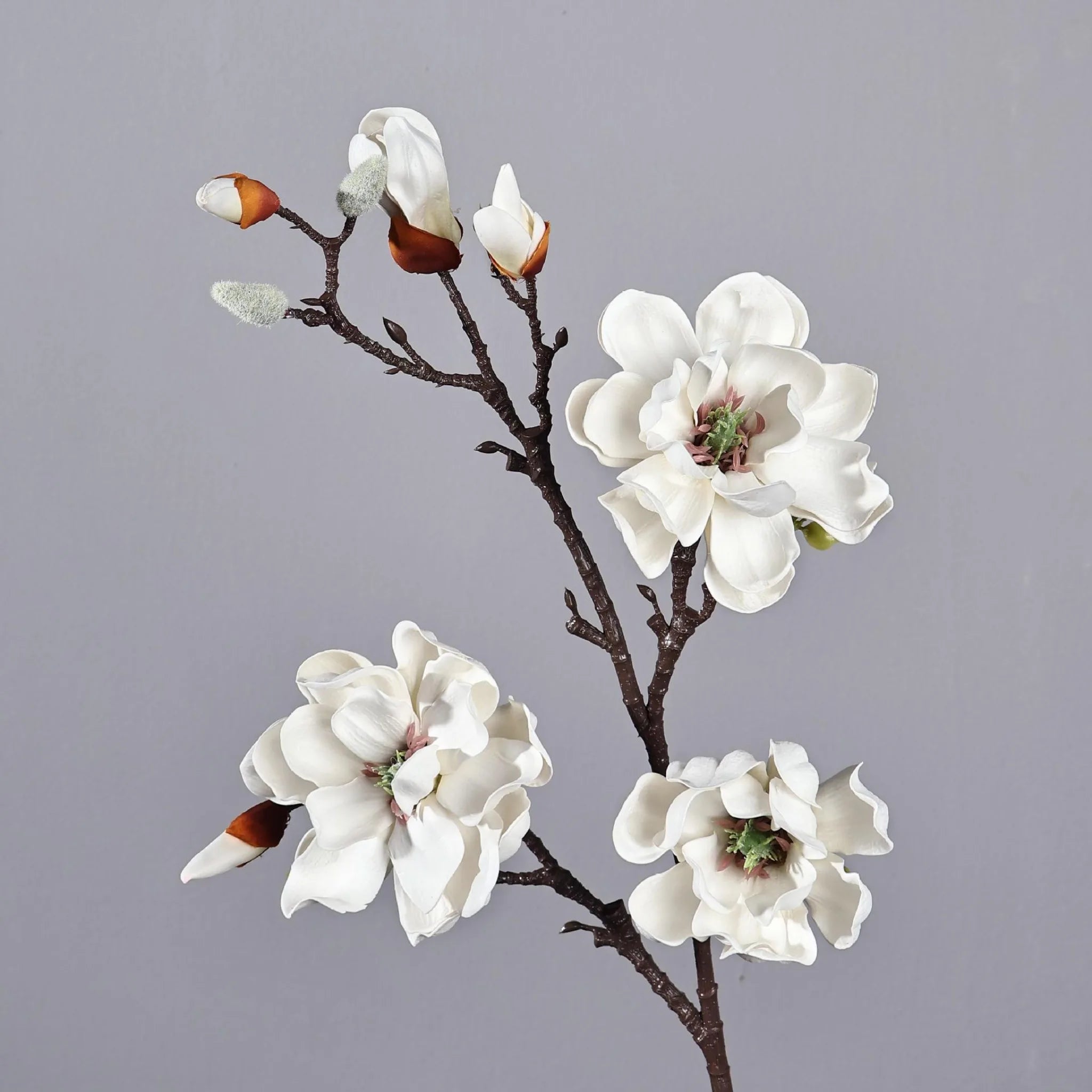 Magnolia Flowering Branch Decor