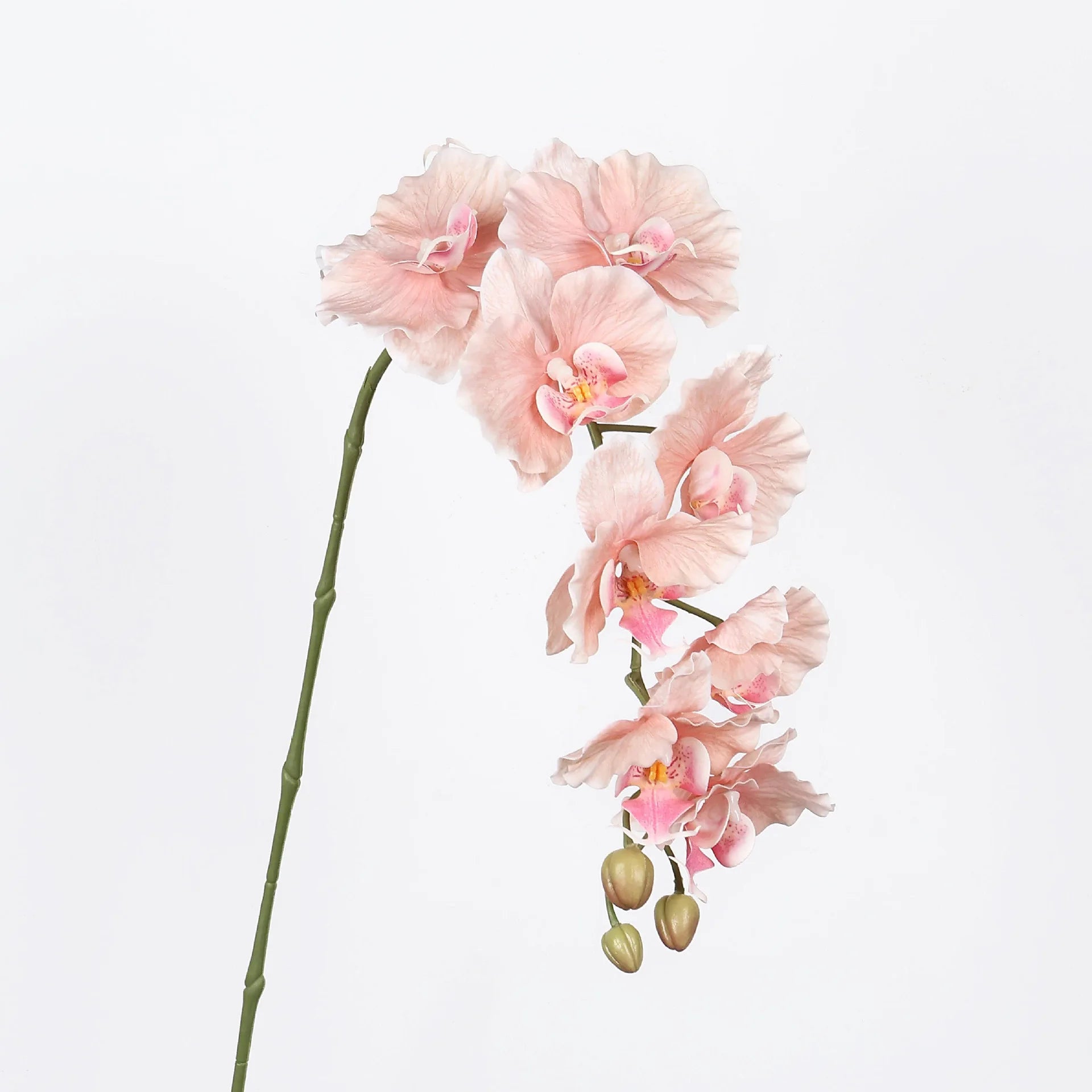 38in Artificial Phalaenopsis Orchid