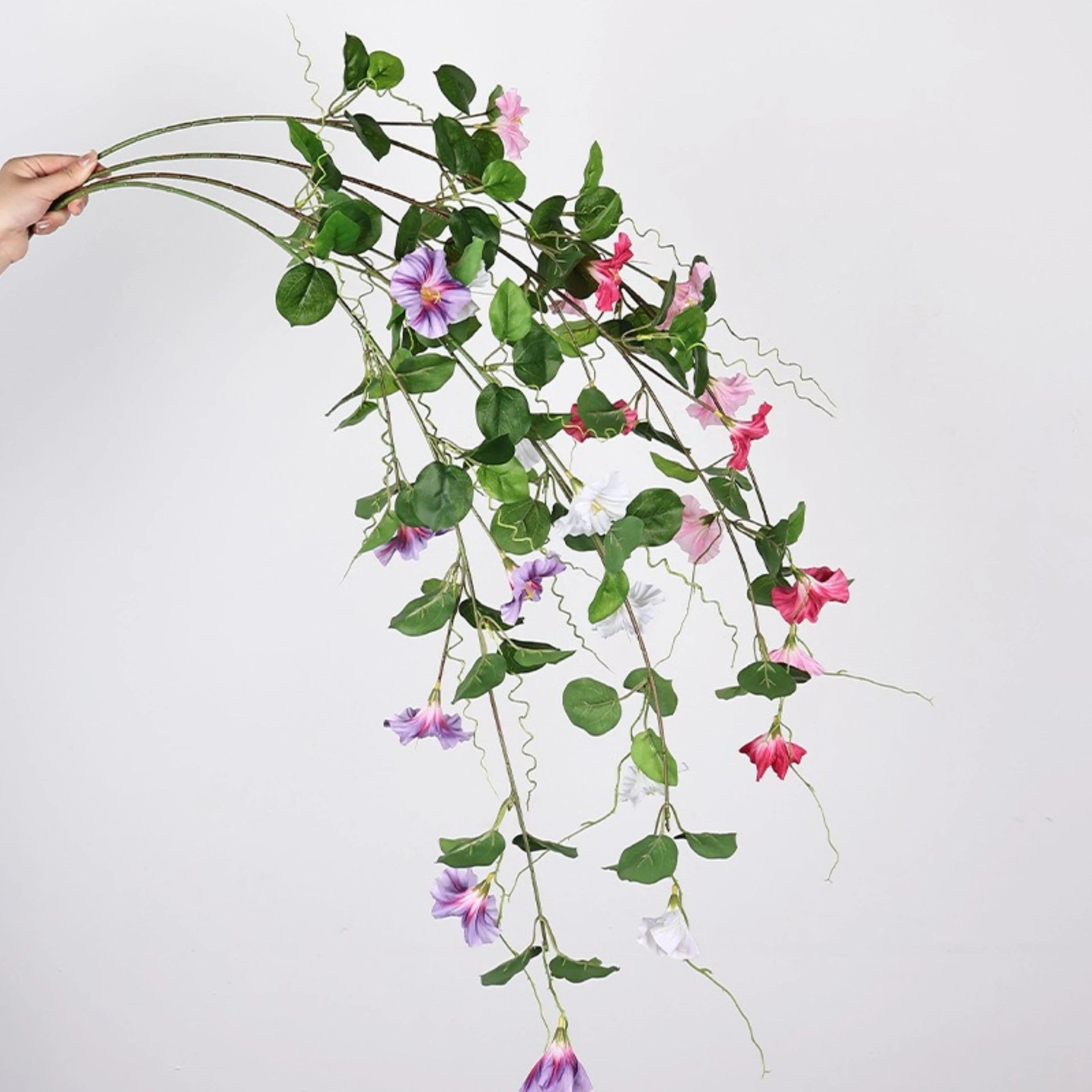 Morning Glory Hanging Floral Vine