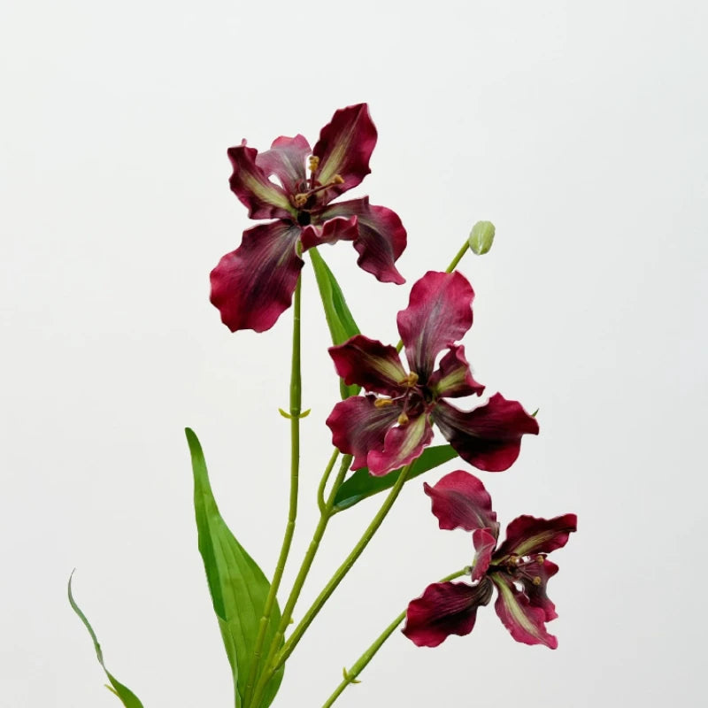 Elegant Iris Floral Display Stem