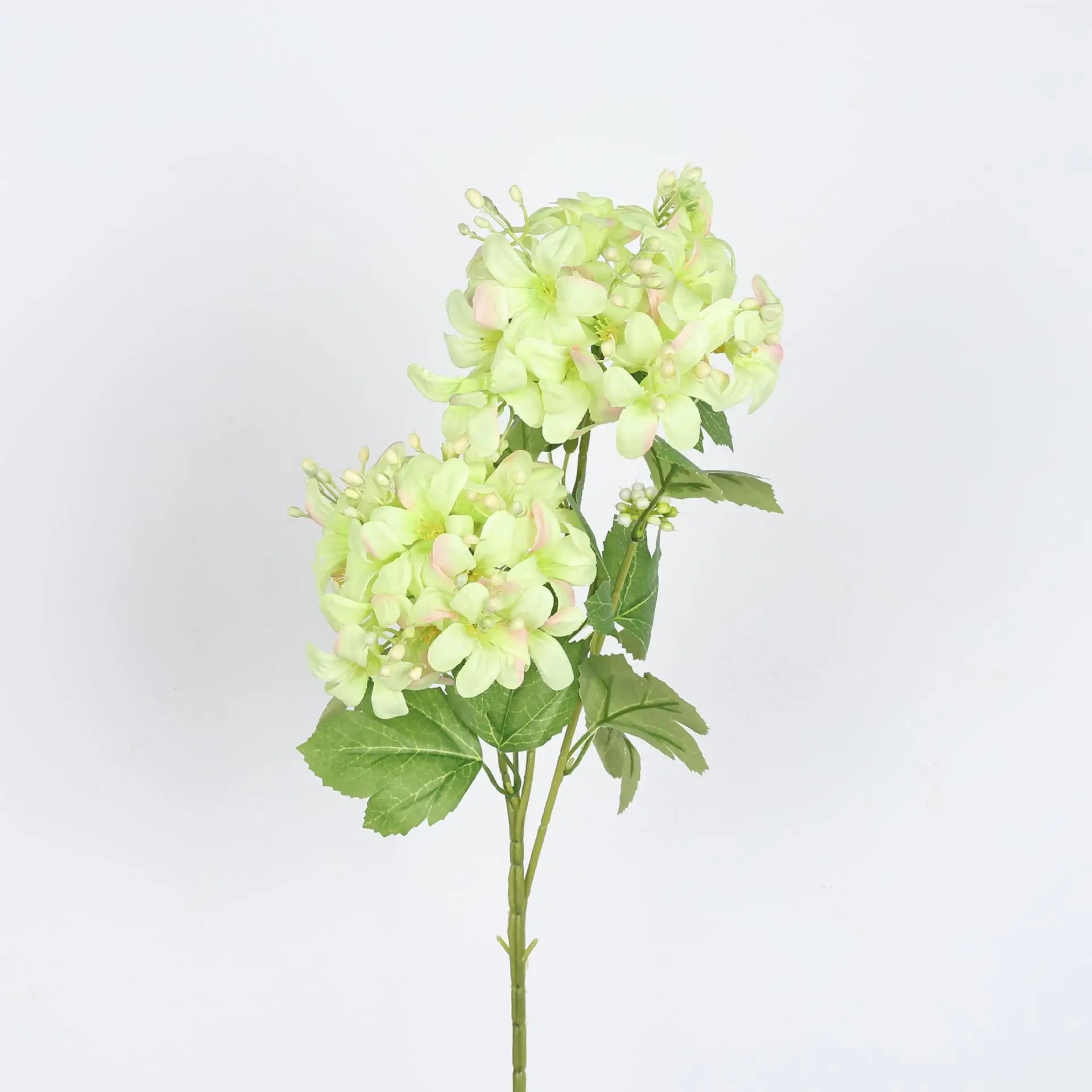 Spring Color Hydrangea Decorative Flower