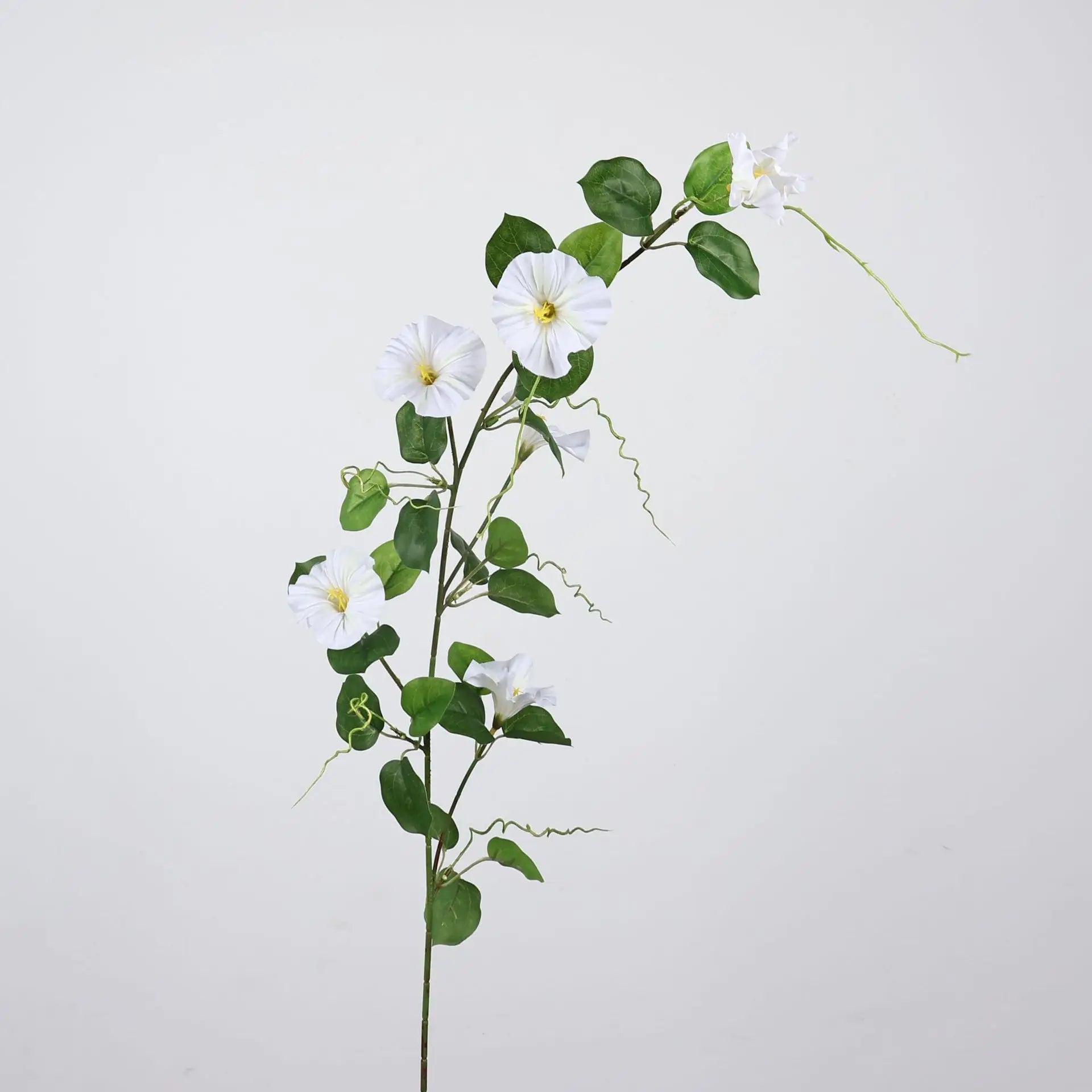 Morning Glory Hanging Floral Vine
