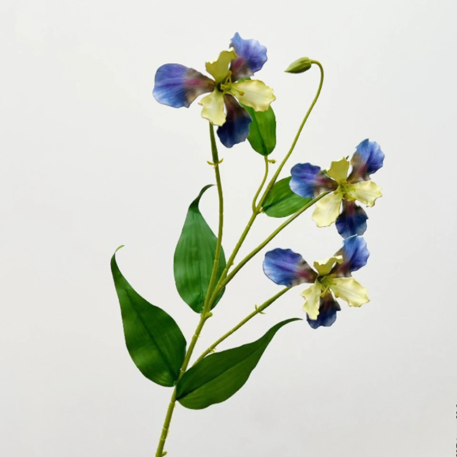 Elegant Iris Floral Display Stem