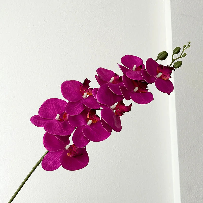 9 Head Latex Butterfly Orchid