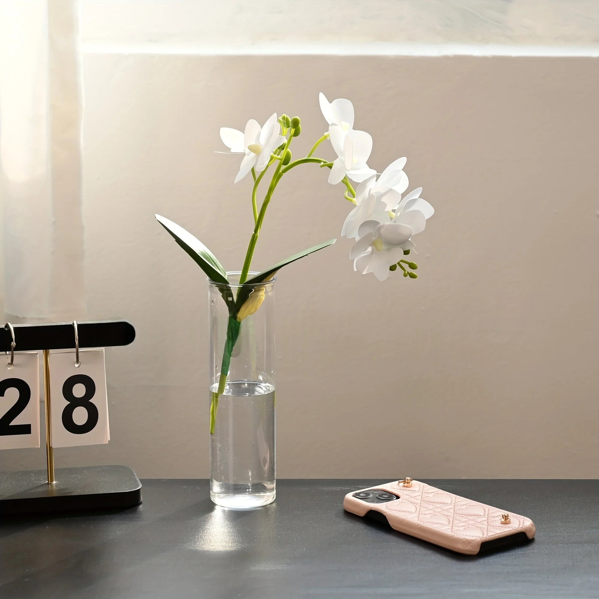 Transparent Cylinder Vase Modern Flower Display