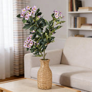 Snowball Edelweiss Floral Stem