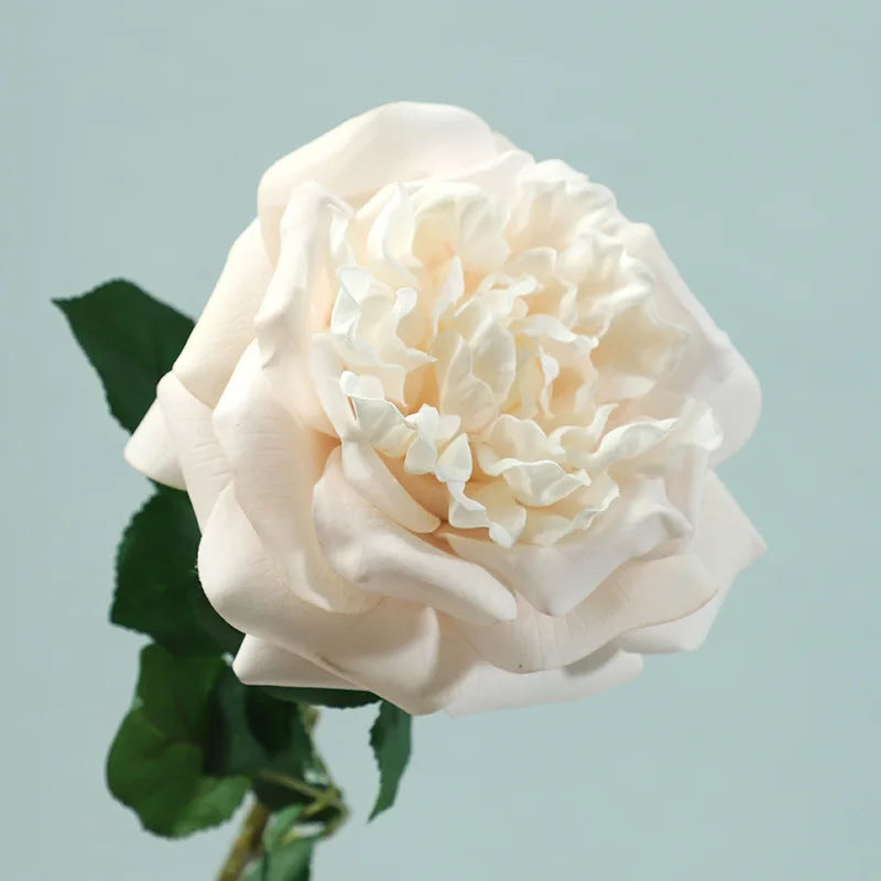 Real Touch Garden Rose Stems – Set of 5