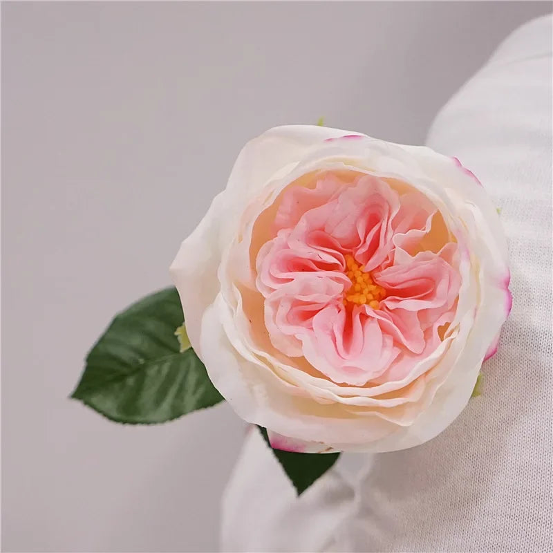 David Austin-Inspired Moisturizing Garden Roses – 5 Piece Set