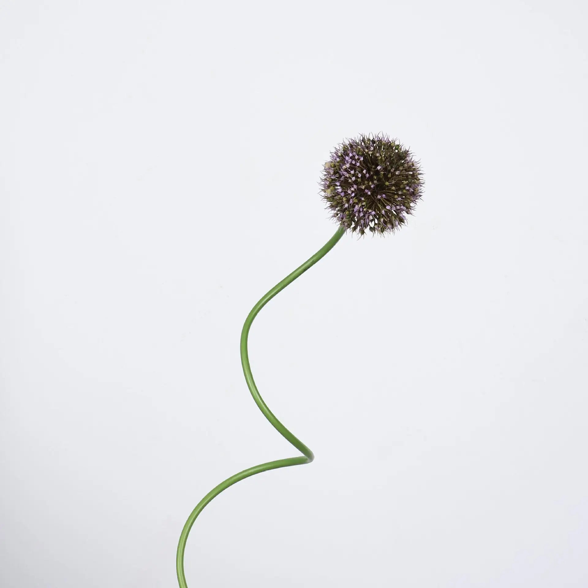 Allium Ball Floral Decor Stem