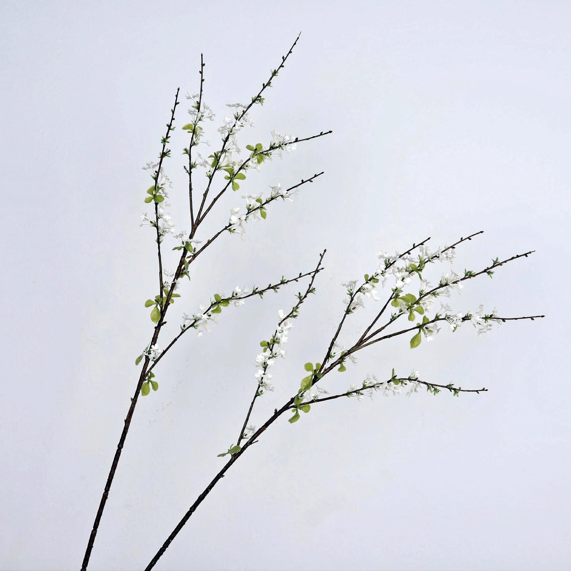 Spirea Snow Willow Decor Branch
