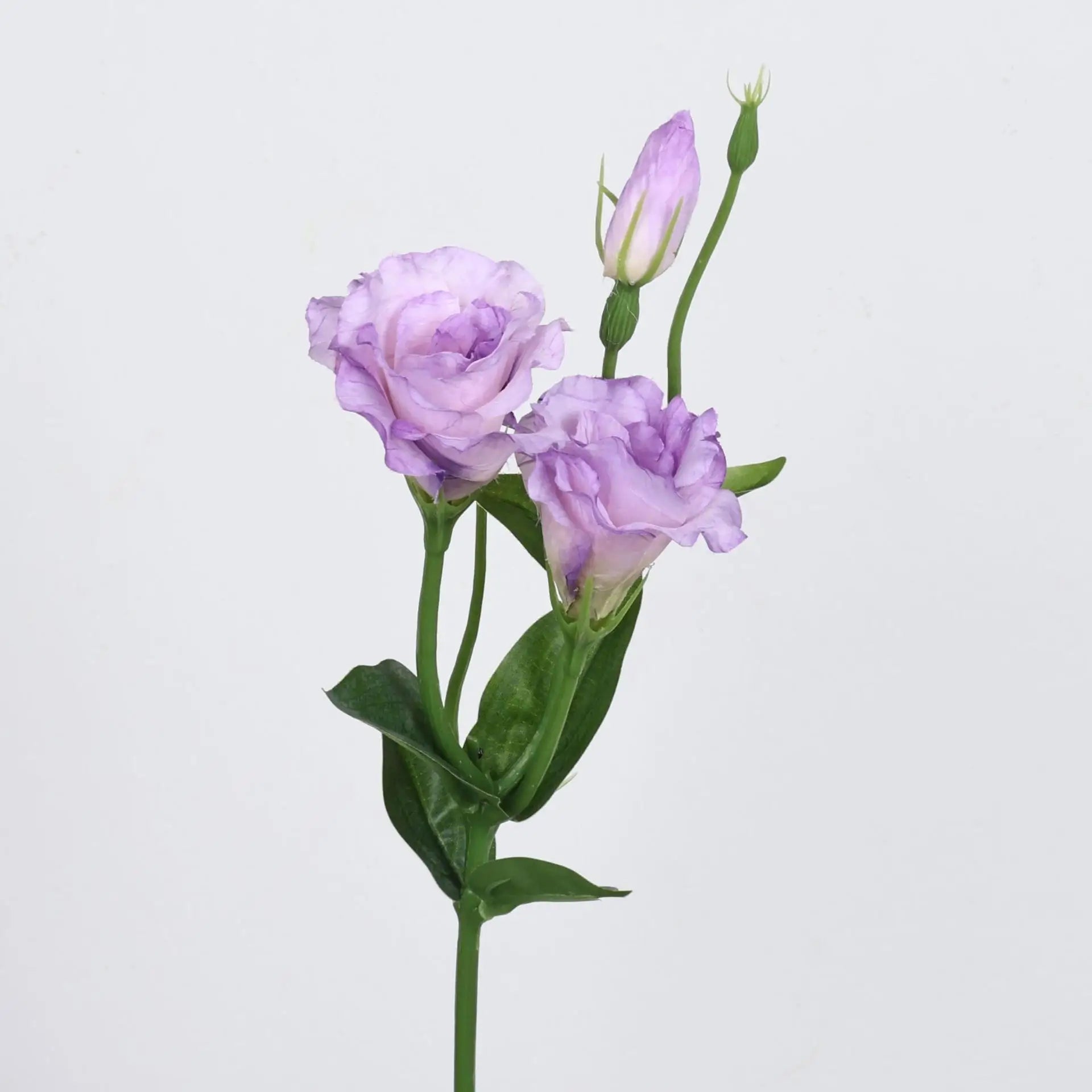 Lisianthus Silk Flower Decor Stem