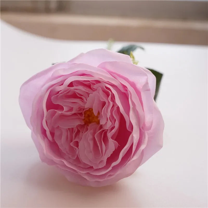 David Austin-Inspired Moisturizing Garden Roses – 5 Piece Set