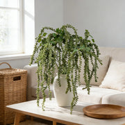 Weeping Berry Hanging Vine Decor